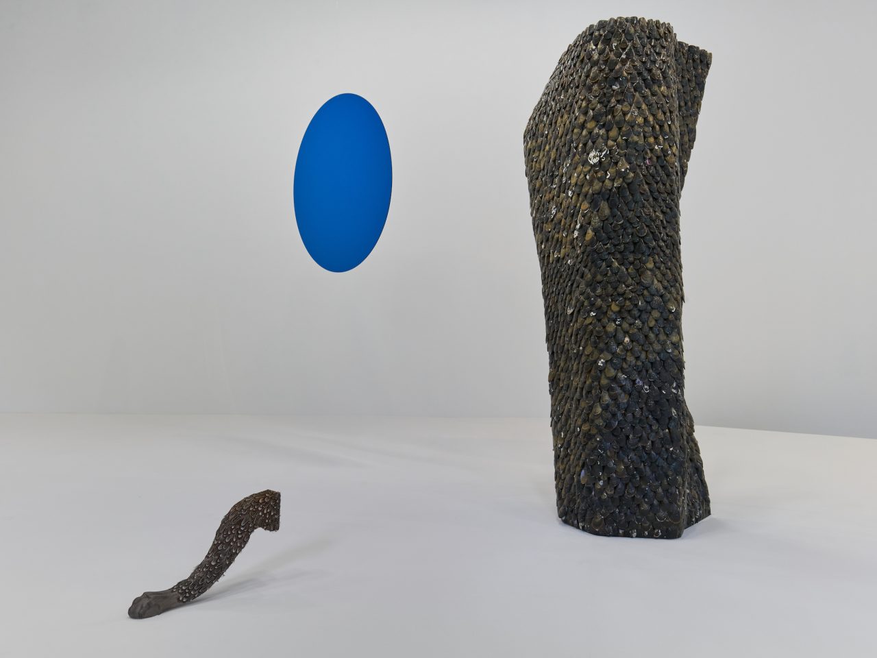 Two sculptures on a white platform, both are carved out of wood, both taking the form of an animalistic limb. There is a blue oval on the wall in the background