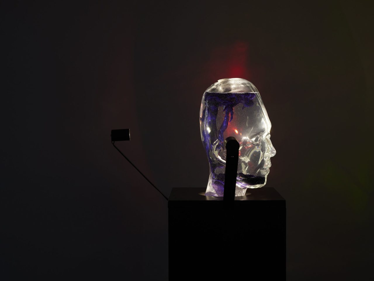 A glass sculpture, in the shape of the artist’s head, are filled with blobs of purple liquid, making the head into a lava lamp.