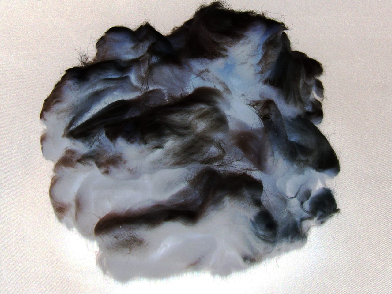 An inverted image of cotton fiber.