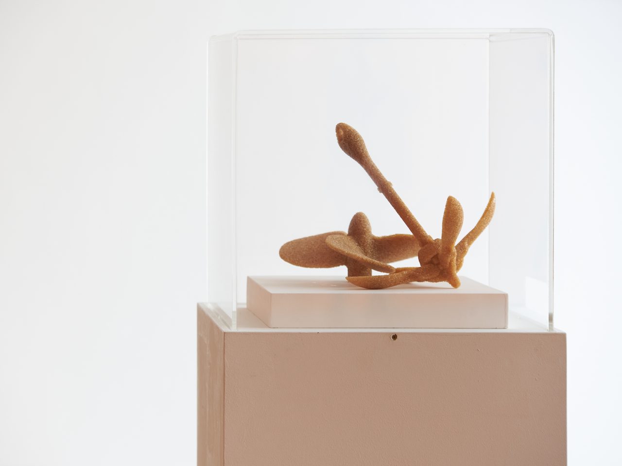 Zineb Sedira Liverpool Biennial