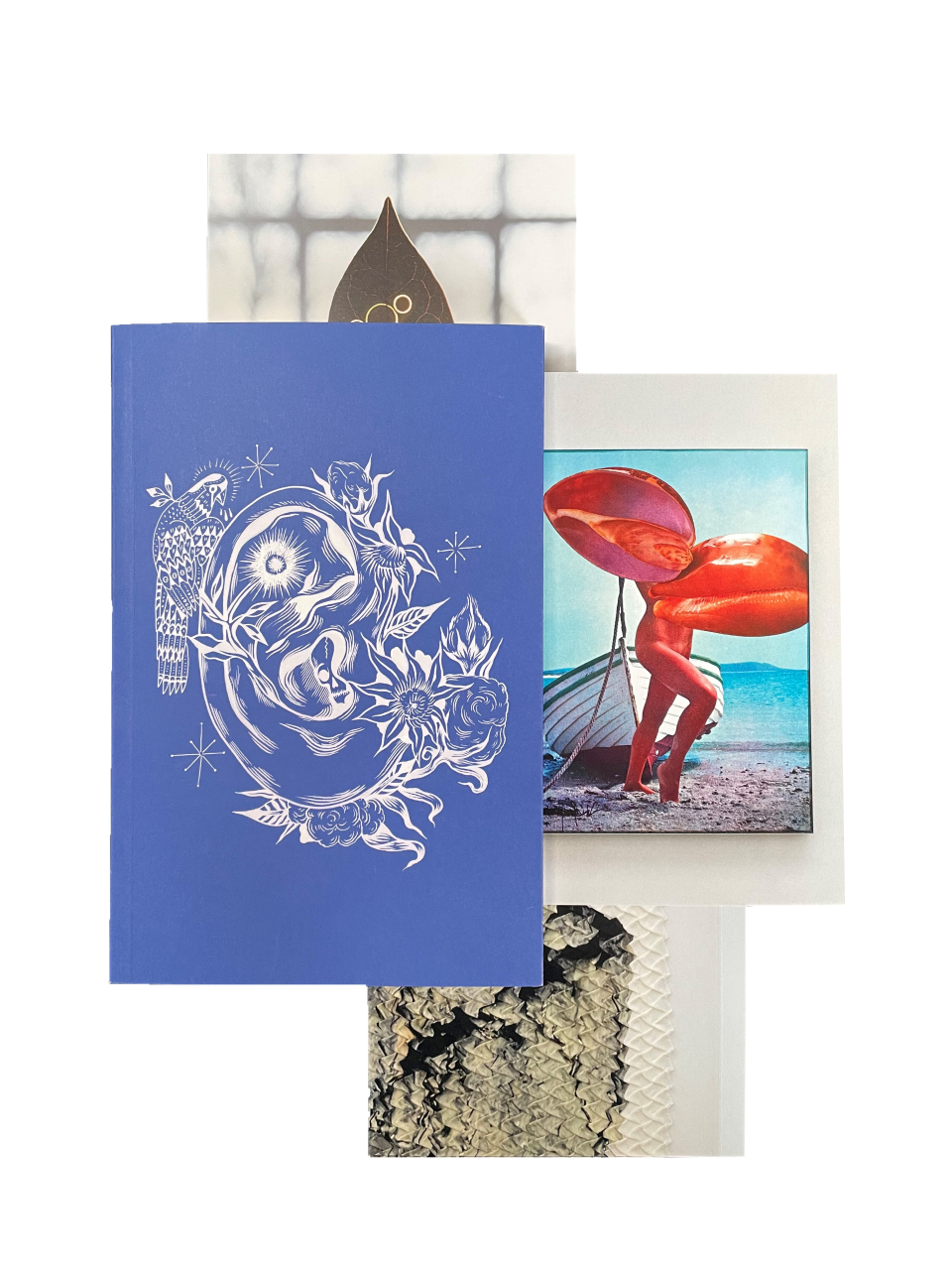 The Stomach and the Port - Liverpool Biennial