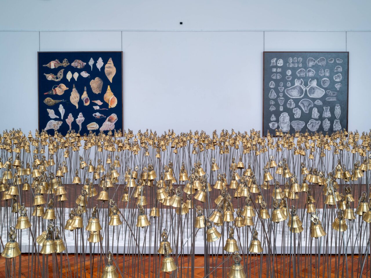 an installation of brass bells and steel rods. In the background is two large framed drawings on a white wall, they have various drawings of shells and objects⁠