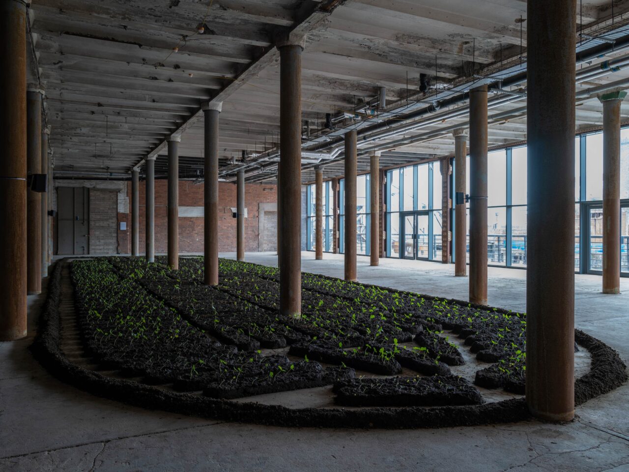 An installation of soil with growing seedlings, shaped in an almost 1:1 scale of the Brooks Slaveship